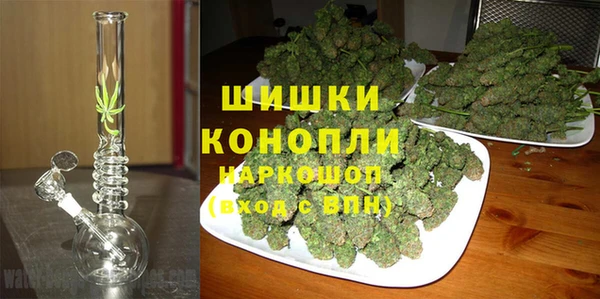 гидропоника Горняк