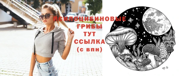 гидропоника Горняк