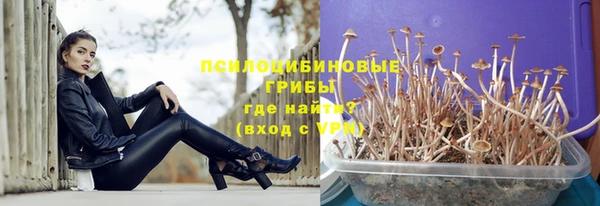 гидропоника Горняк